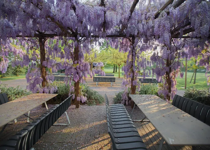 Farm House מלון *