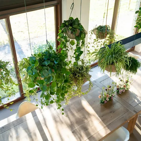 Farm House