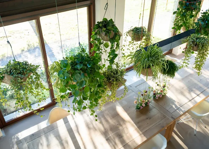 Farm House